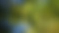 green, blue, dark blurred background Royalty Free Stock Photo