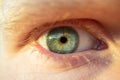 Green-blue eye in profile, macro photo. The concept of ophthalmology, pigmentation of the iris. Royalty Free Stock Photo