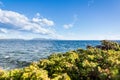 Green and blue in Glacier national park Royalty Free Stock Photo