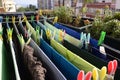 Green and Blue Laundry Drying, Colorful Pins, Home Royalty Free Stock Photo