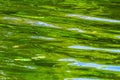 Green Blue Reflection Abstract Lake Washington Juanita Bay Park Royalty Free Stock Photo