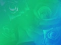 Green and blue roses bouguet background, template, banner, name card, copy space