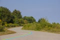 Bicycle path in a park