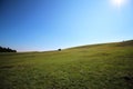 Green and blue in a summer day