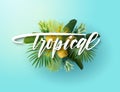 Green and blue summer tropical background with exotic palm leaves, bird of paradise flowers and pineapples. White