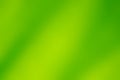 Green blur abstract background Left light yellow