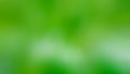 Green blur background texture. Abstract blur