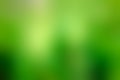 Green blur background texture. Abstract blur