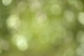 Green  blurred abstract background with nature bokeh. Royalty Free Stock Photo