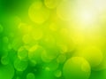 Green blurred bio background