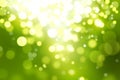 Green blurred bokeh background, white and yellow circles, glitter, nature