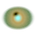 Green blurred eye, RTG of yellow green animal eye with open pupil and bright retina