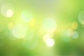 Green blurred spring background.