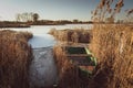 A green boat hidden in the reeds on a frozen lake in sunny day Royalty Free Stock Photo