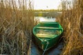 Green boat moored in the dry reeds Royalty Free Stock Photo