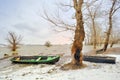 Green boat on shore in winter Royalty Free Stock Photo