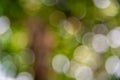 Green bokeh abstract backgrounds Royalty Free Stock Photo