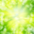 Green bokeh abstract light background texture