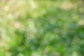 Green bokeh background