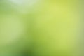 Green bokeh background Royalty Free Stock Photo