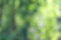 green bokeh background from nature under tree shade with sun light Royalty Free Stock Photo