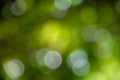 Green bokeh abstract backgrounds Royalty Free Stock Photo