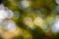 Green bokeh abstract backgrounds Royalty Free Stock Photo