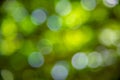 Green bokeh abstract backgrounds Royalty Free Stock Photo