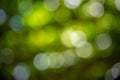 Green bokeh abstract backgrounds Royalty Free Stock Photo