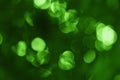 Green bokeh blur background, abstract leaf light and sunshine with out of focus