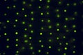 Green bokeh lighting illumination unfocused abstract objects on simple background black space wallpaper