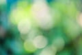 Green bokeh lights abstract background Royalty Free Stock Photo