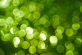 Green bokhe,bokeh on nature abstract blur background green bokeh from tree ,Sunny green nature background, green blurred bokeh Royalty Free Stock Photo