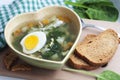 Green borsch with sorrel in bowl in the form of heart