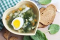 Green borsch with sorrel and egg in bowl in the form of heart Royalty Free Stock Photo