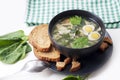 Green borsch with sorrel, egg and grens Royalty Free Stock Photo