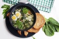 Green borsch with sorrel Royalty Free Stock Photo