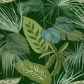 Green Botanical Background with Tropical Leaves and Branches, Seamless Pattern, Realistic Spathiphyllum Cannifolium