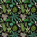 Green Botanical Background with Tropical Leaves and Branches, Seamless Pattern, Realistic Spathiphyllum Cannifolium