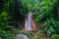 Green botanical garden in Soufriere, Saint Lucia