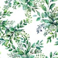 Green botanical pattern isolated on white background Royalty Free Stock Photo
