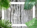 Green botanical tropical palm leaves frame background