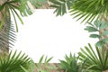 Green botanical tropical palm leaves frame background