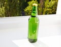 Green bottle, top view. Selective focus. Mock up. Copy space.Template. Blank.