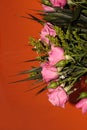 Green bouquet with small roses on an orange background. Pink small roses Royalty Free Stock Photo