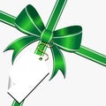 Green bow with tag Royalty Free Stock Photo