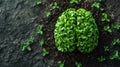 Green Brain - Basil Microgreens on Soil