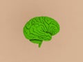 Green brain of craft background