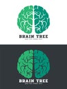 Green Brain tree logo vector art design isolate on white and dark background Royalty Free Stock Photo