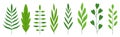 Green branch leaf flat floral icon set eco sprout Royalty Free Stock Photo